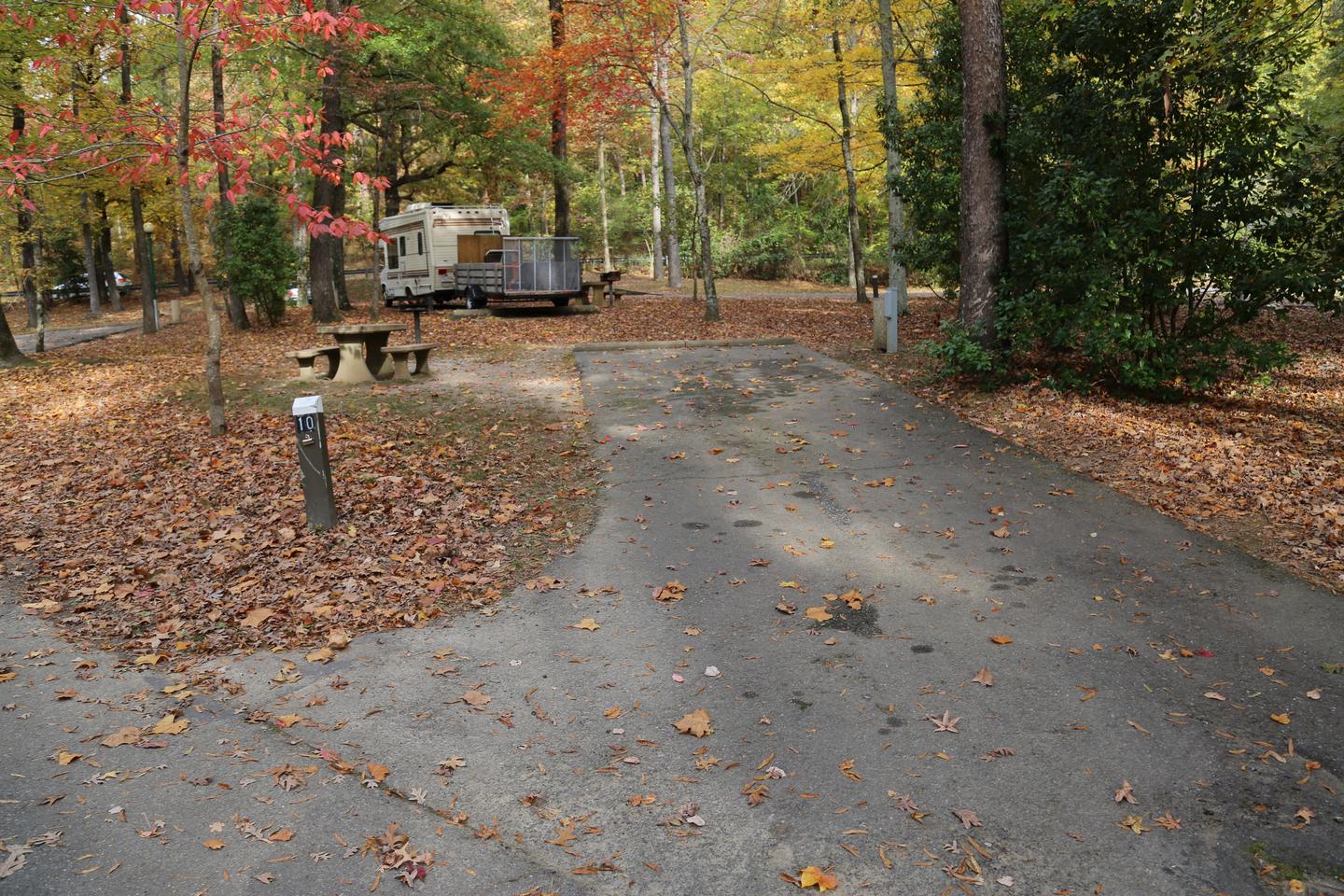 Paved campsite with picnic table and leaves on the ground surrounded by treesCampsite 10