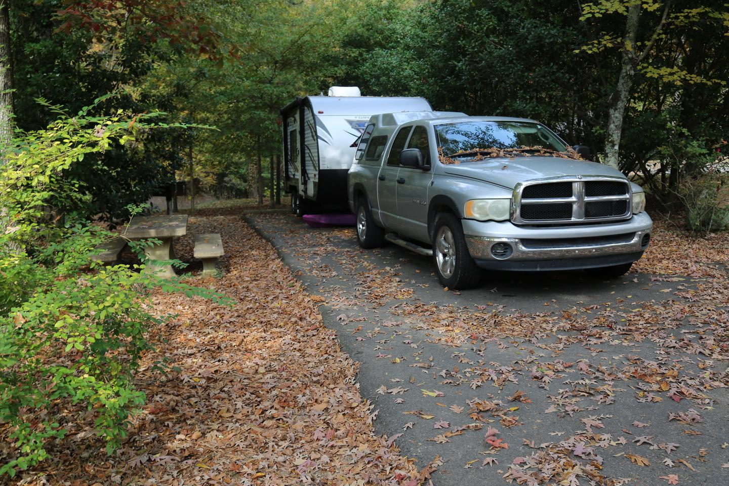 Camper with pickup truck on paved campsite beside a picnic table surrounded by trees and fallen leavesCampsite 20