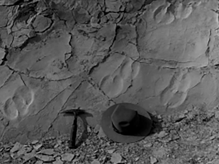 Ranger hat and pickaxe with Two-toed fossil tracks Two-toed fossil tracks 