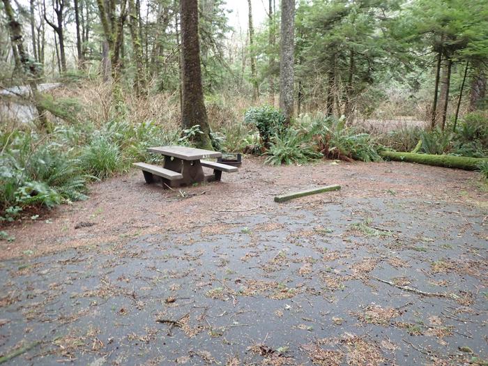concrete picnic table in campsite covered in pine needlesCampsite A38