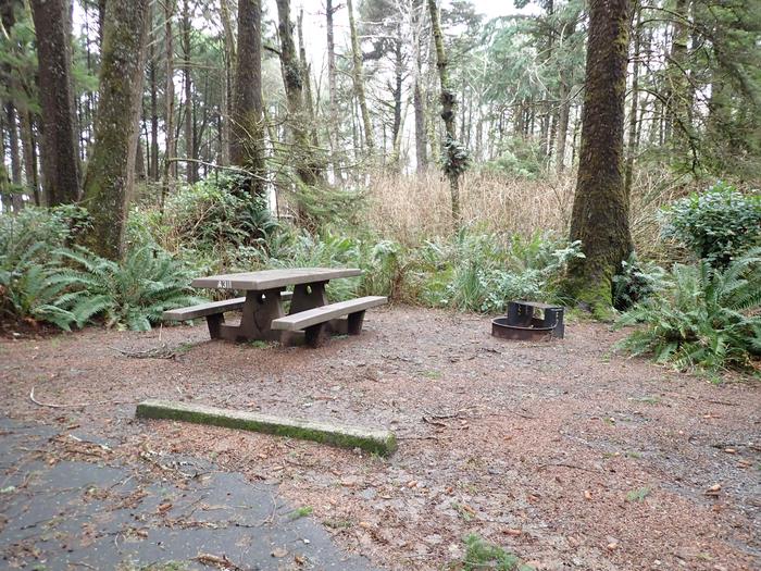 picnic table and fire ring surrounded by treesCampsite A38 - table and fire ring