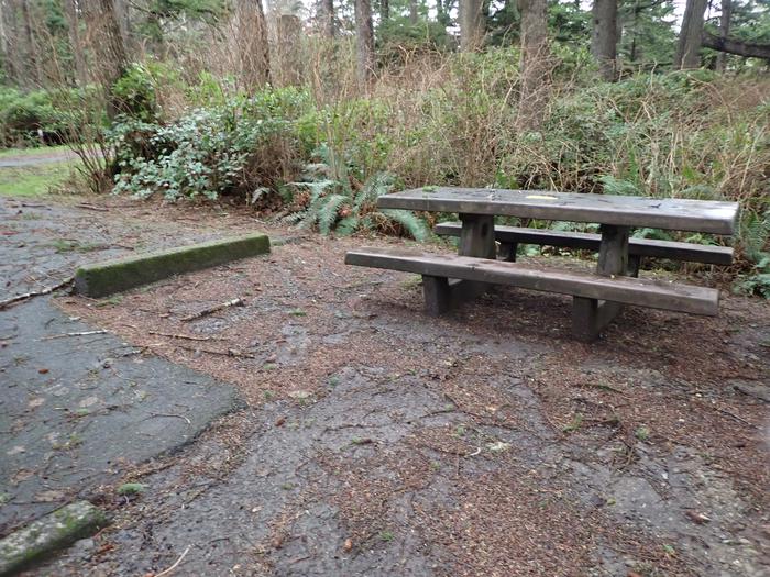 concrete picnic table surrounded by treesCampsite A39 - picnic table