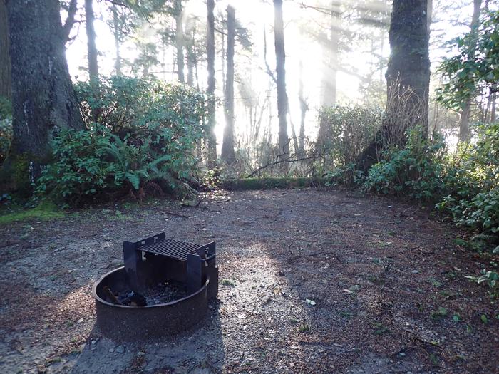metal fire ring and tent pad surrounded by treesCampsite A40 - fire ring and tent pad