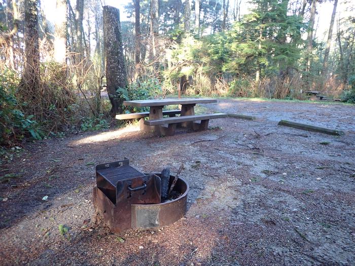 fire ring and picnic table and parking in forestCampsite A40 - view of campsite and parking