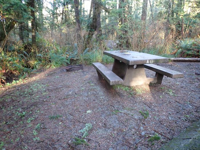 picnic table and fire ring A41- picnic area 