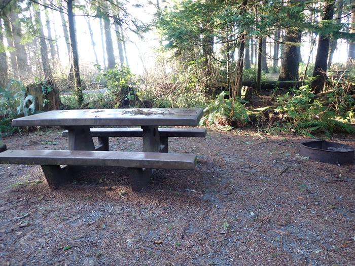 picnic table and fire rings in front of treesA41- picnic area