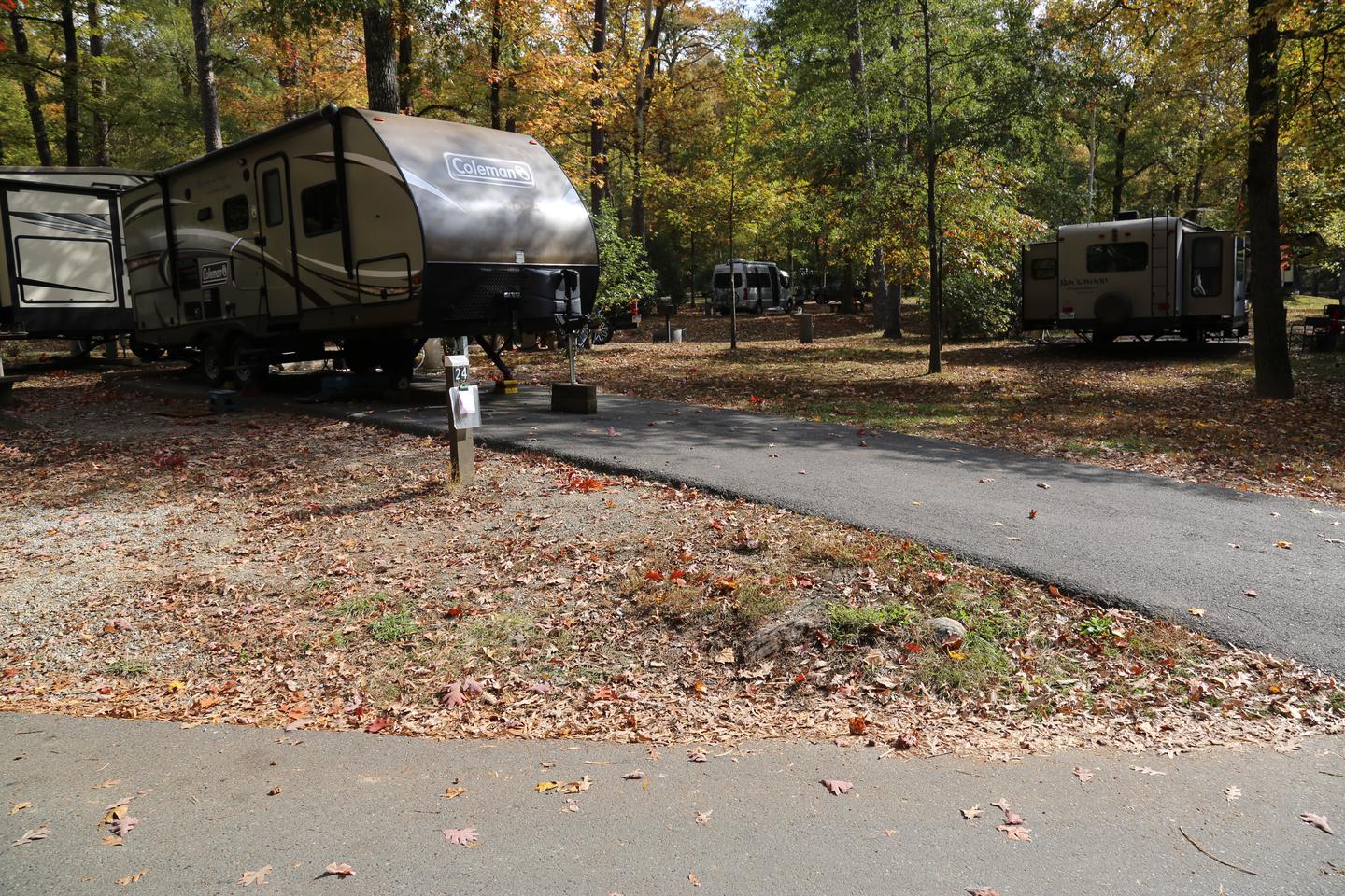 Camper on paved pad surrounded by trees and fallen leavesCampsite 24