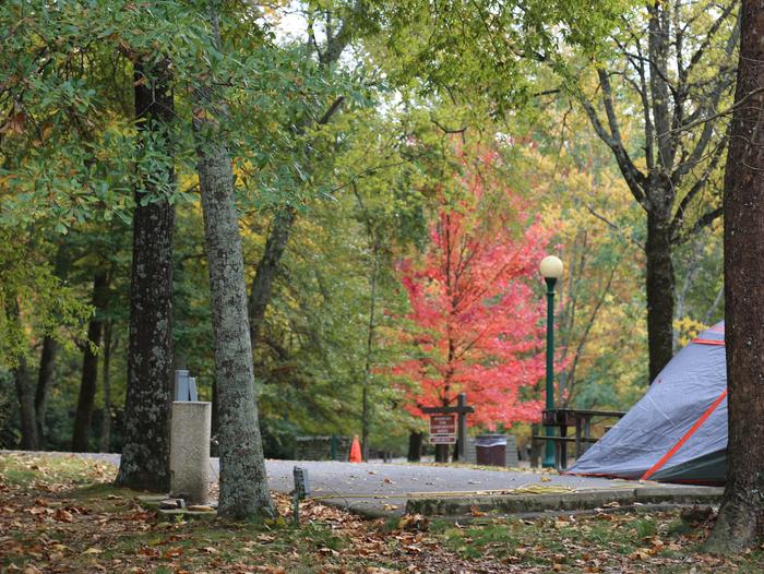 Tent in paved campsite surrounded by treesBeautiful Gulpha Gorge Campground welcomes tent and RV campers