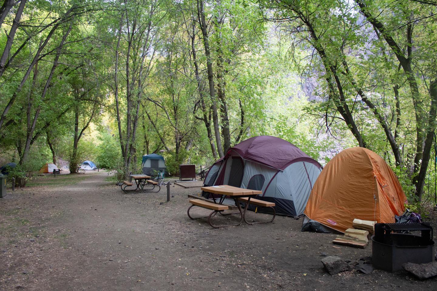 East Portal Campground - Walk-in sitesTen of the 15 sites are walk-in tent sites.