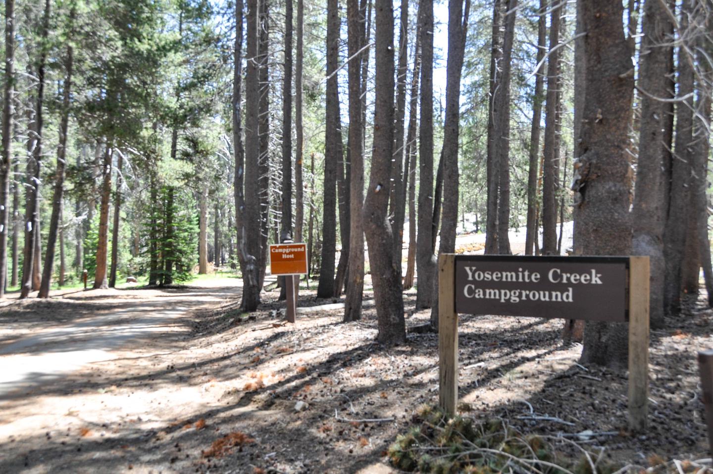 Yosemite Creek CampgroundThe entrance to Yosemite Creek Campground