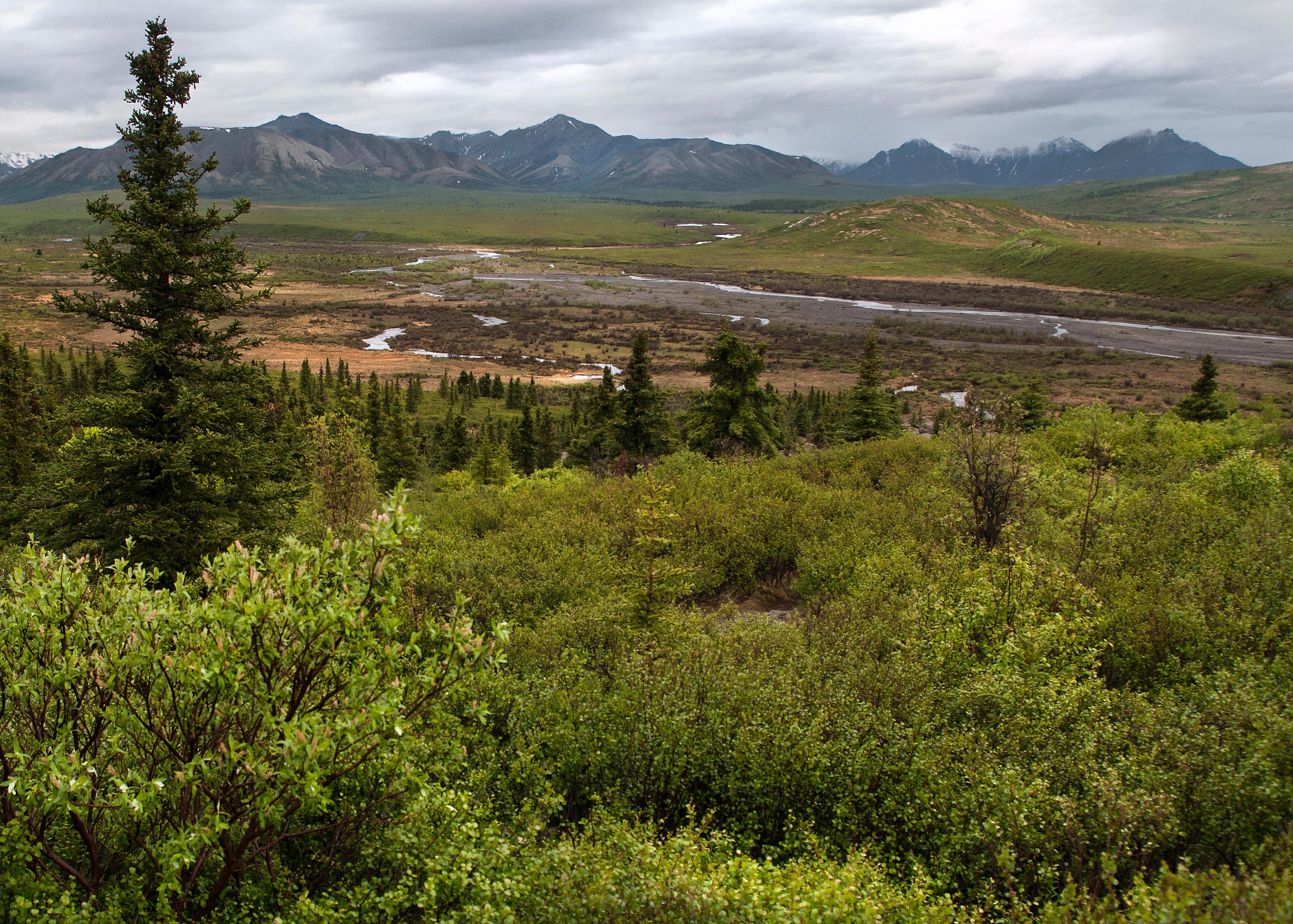 South of Savage River