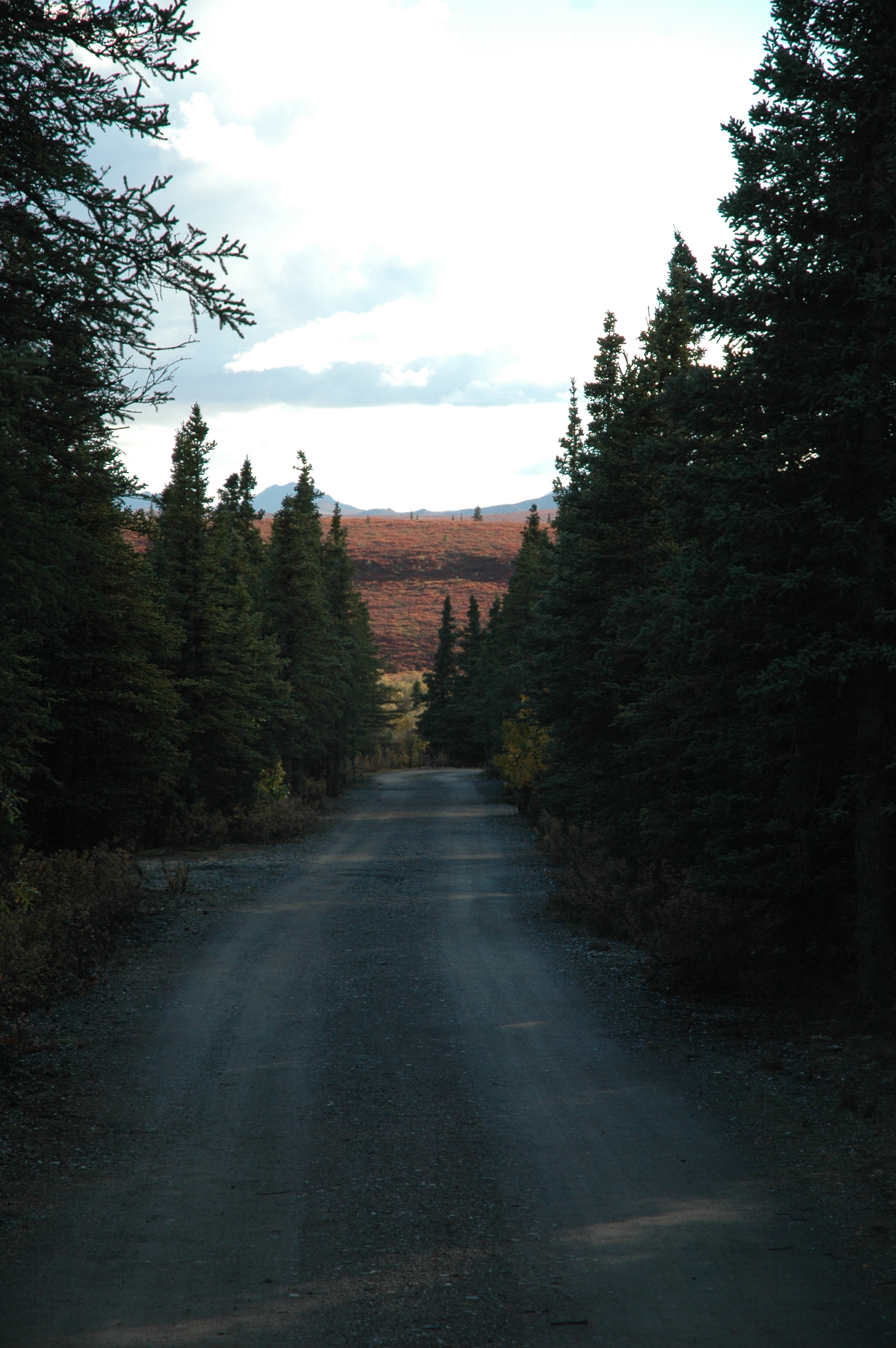Savage River Campground