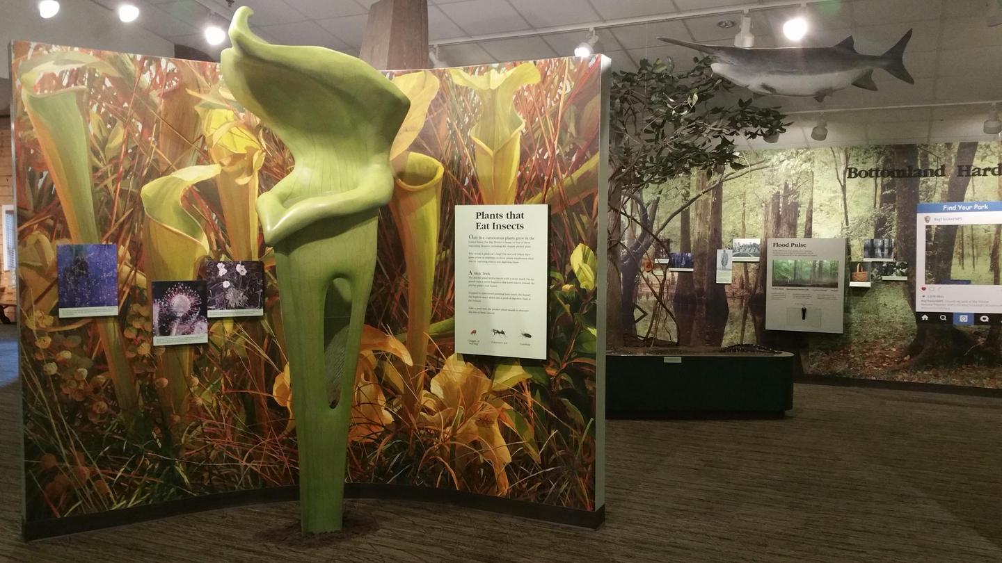 Visitor Center ExhibitsLearn about carnivorous plants at the visitor center