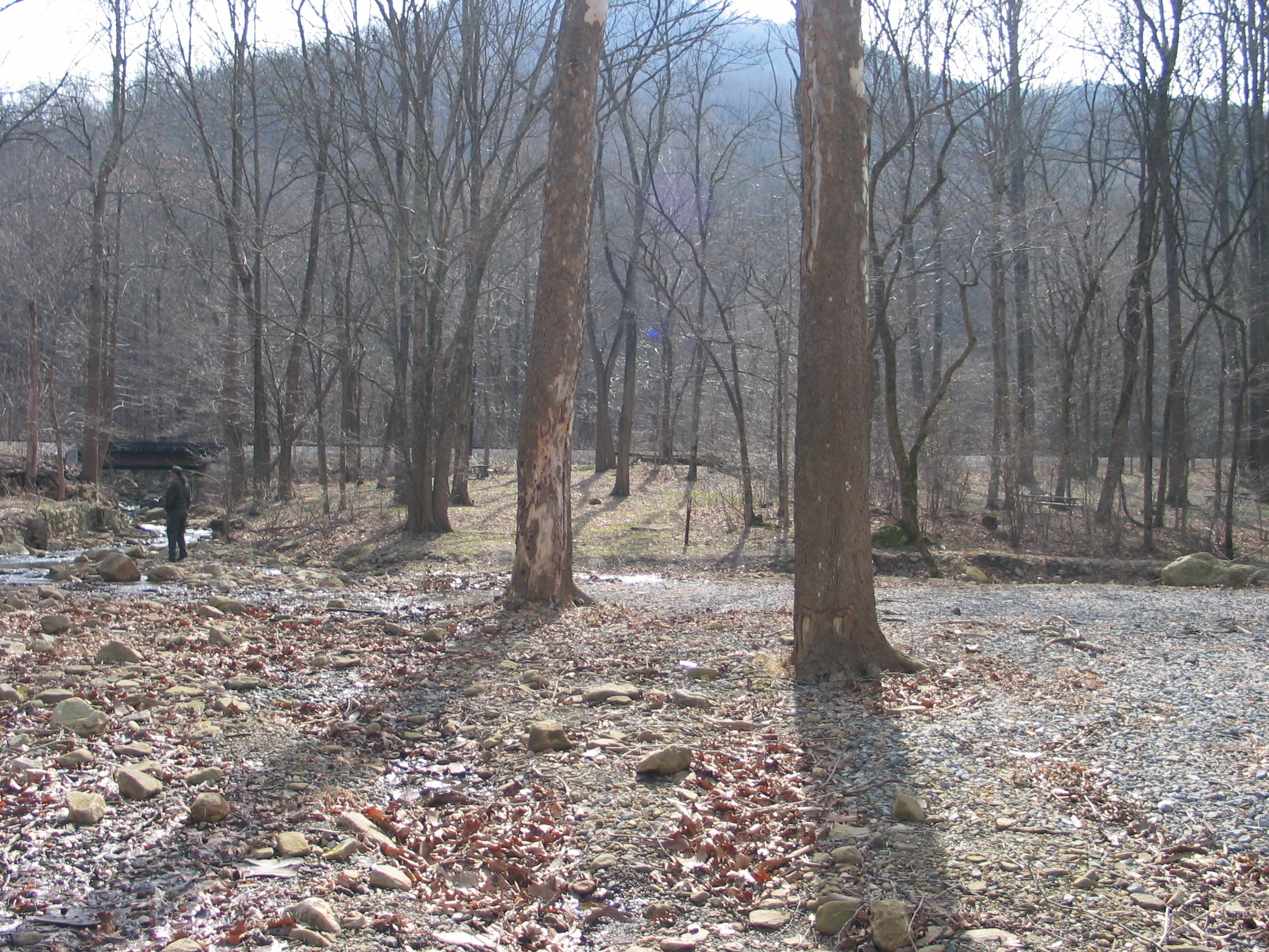 New River Gorge Camp WV — New River Gorge NP, Fayetteville WV dispersed campsite