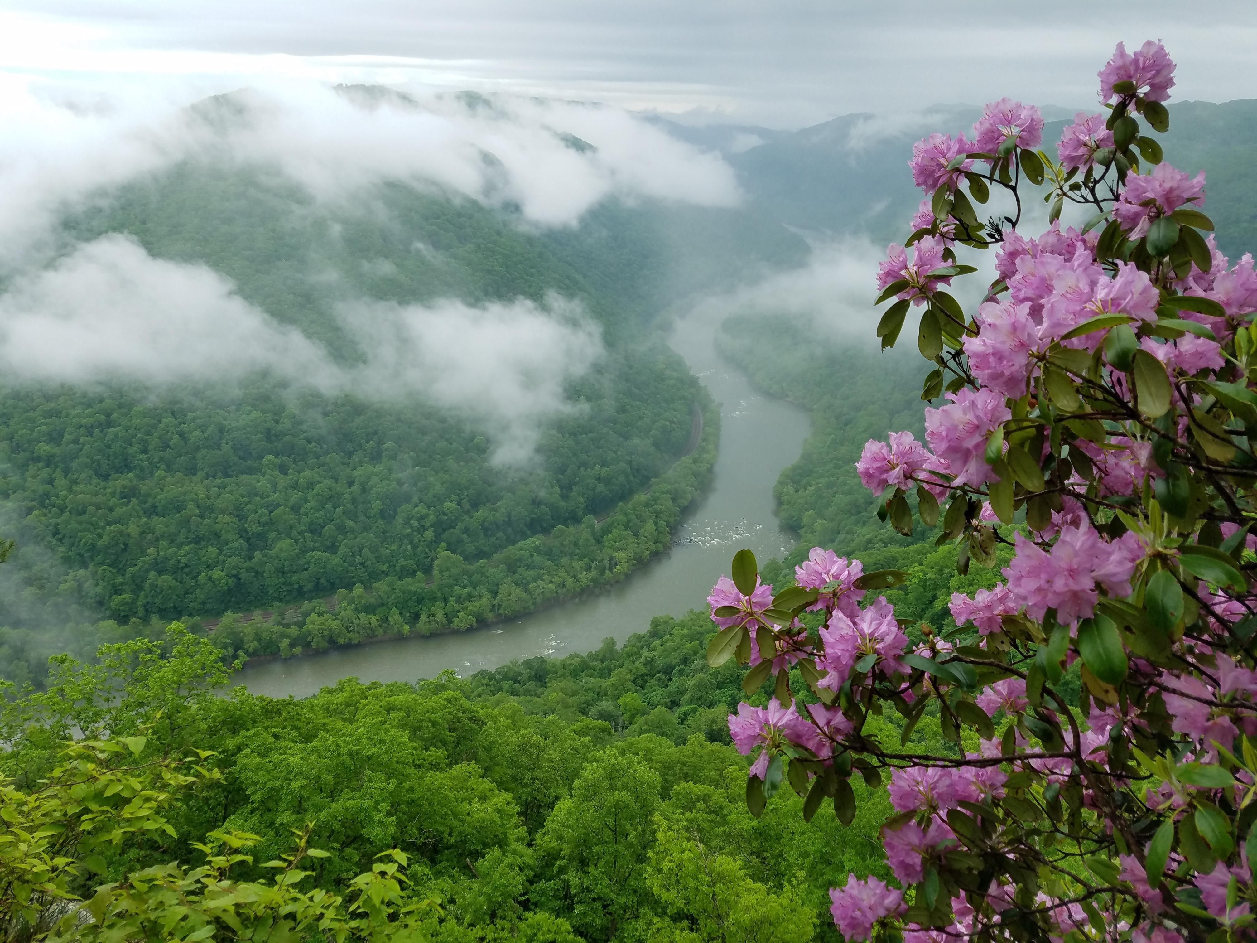 North Overlook at Grandview