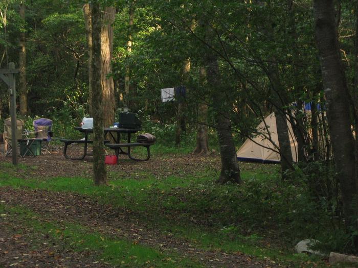 Glade Creek CampgroundCampsite at Glade Creek campground