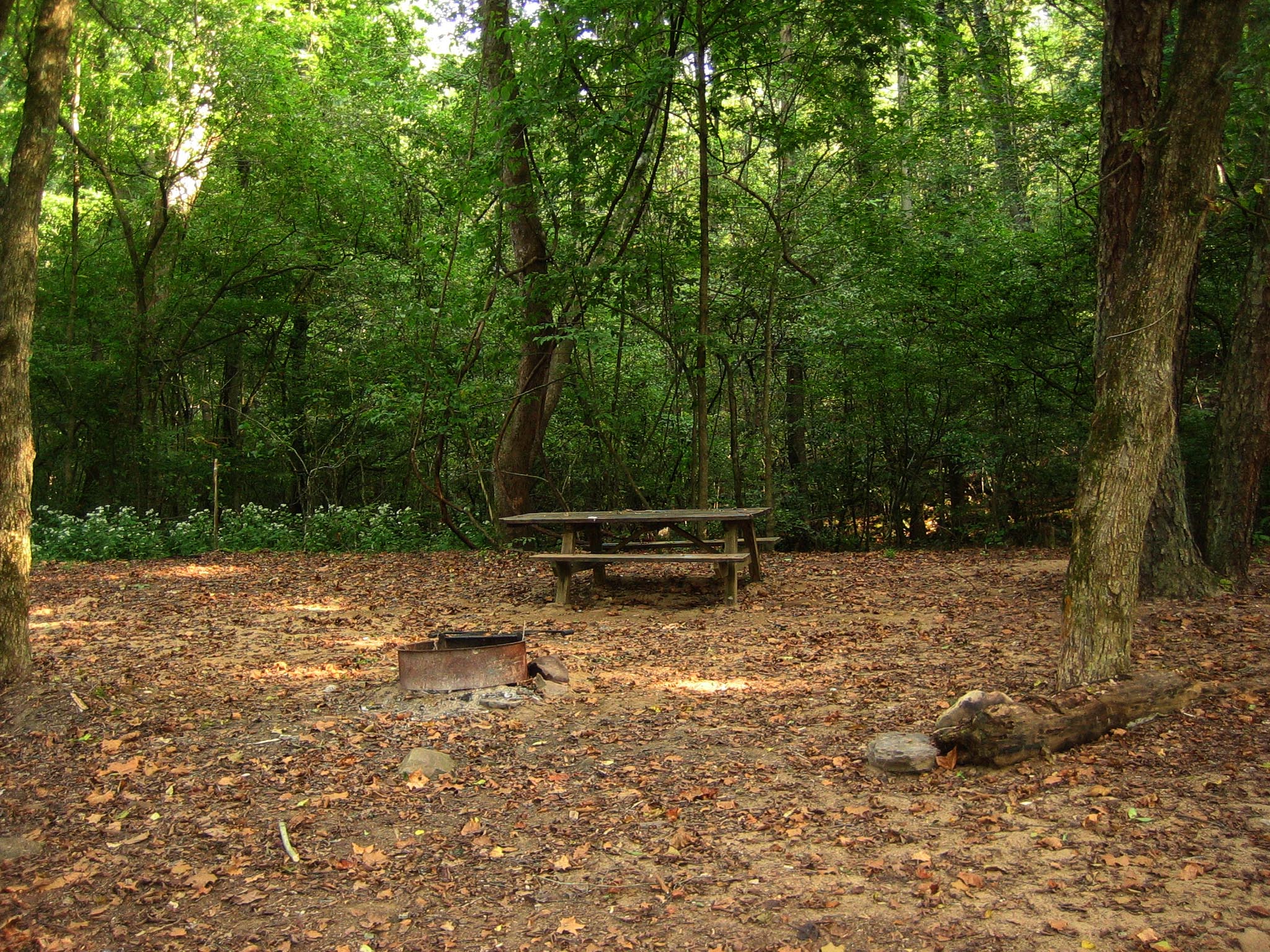 Glade Creek Campground