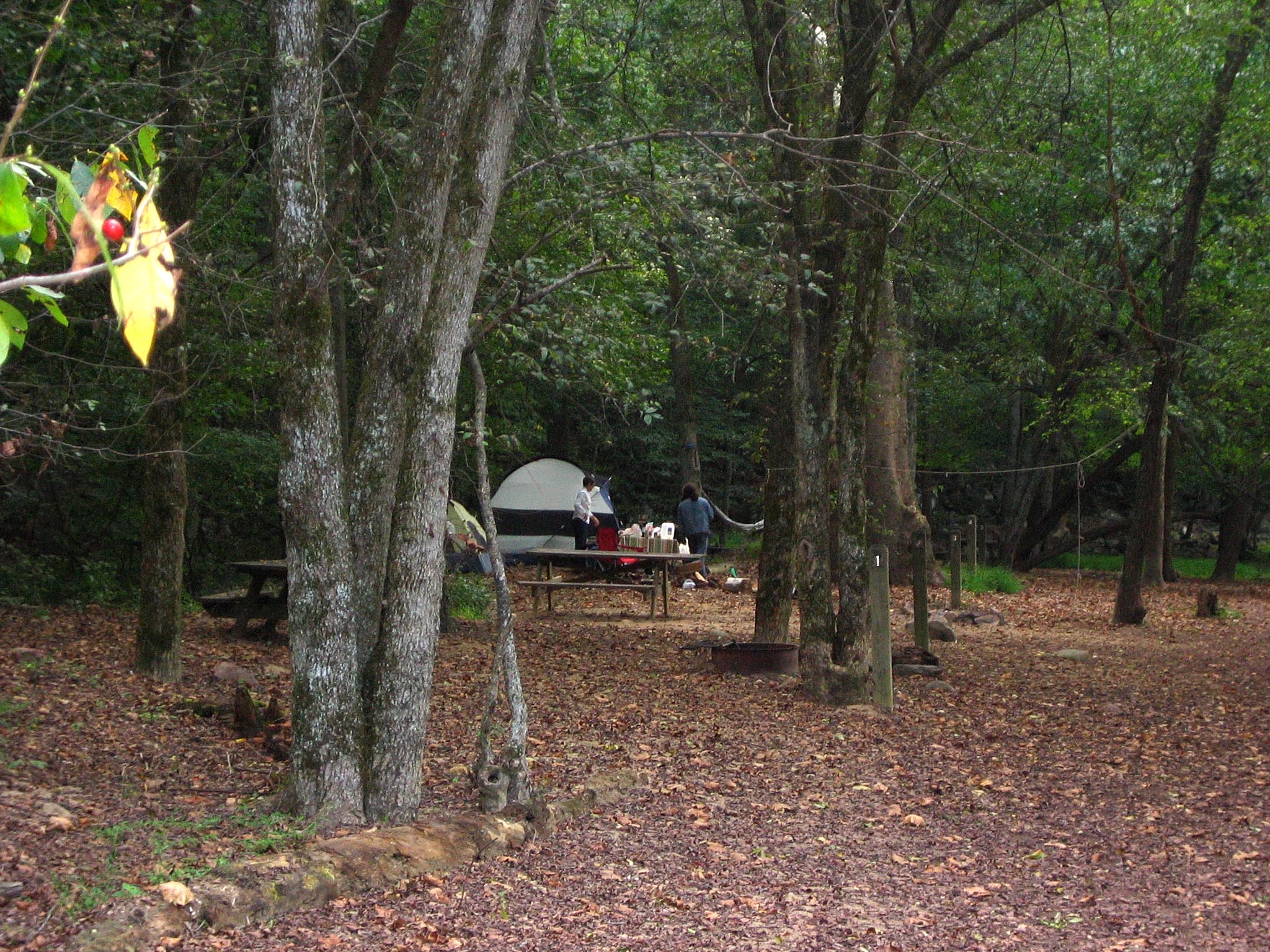 Glade Creek Campground