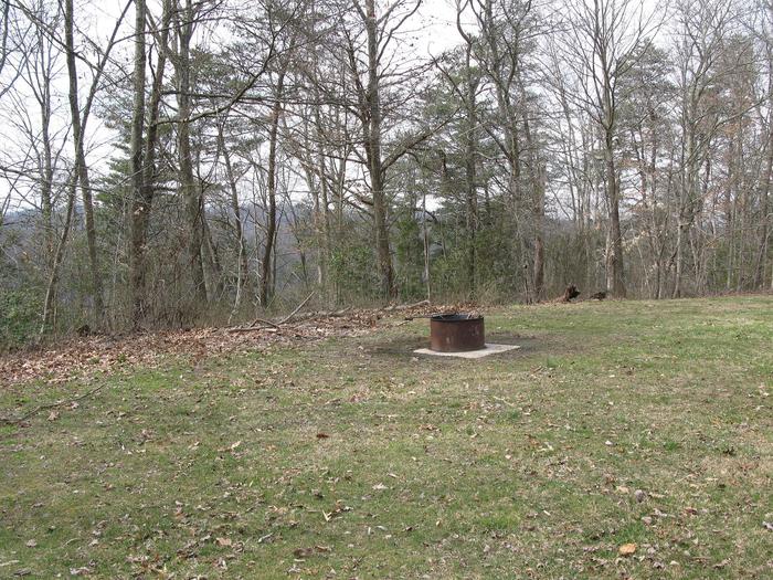Burnwood Groups Sitefire pit at Burnwood Group Campground