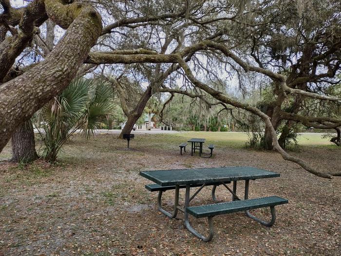 Picnic area  away from springEnjoy a quieter picnic here under shady oaks