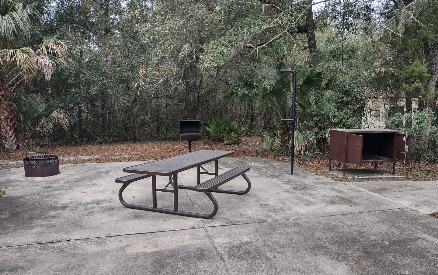 Another view of site 4Amenities pictured: picnic table, fire ring, grill, light pole, bear-proof storage bin