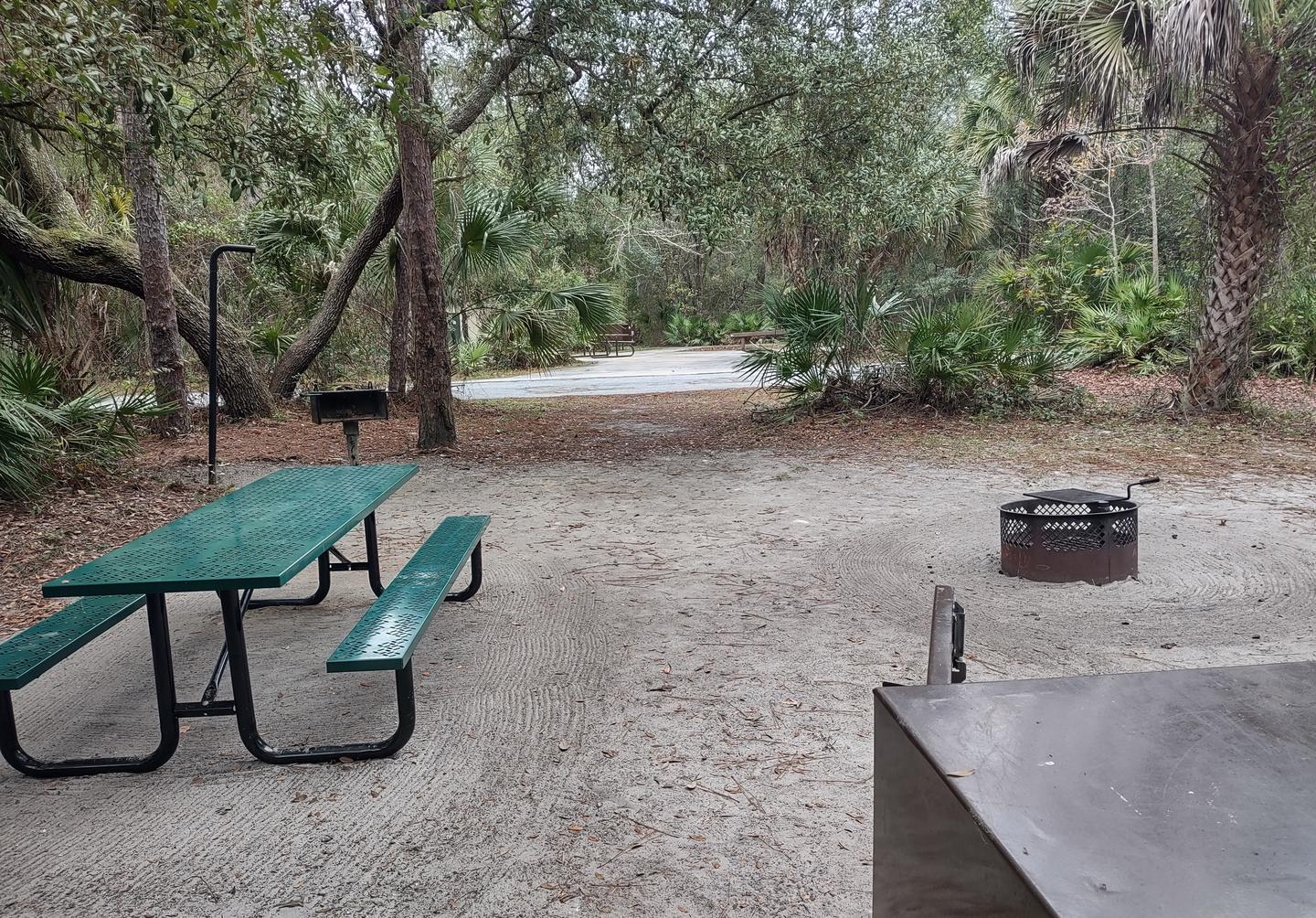 Another view of site 5Amenities pictured: picnic table, fire ring, grill, light pole, bear-proof storage bin