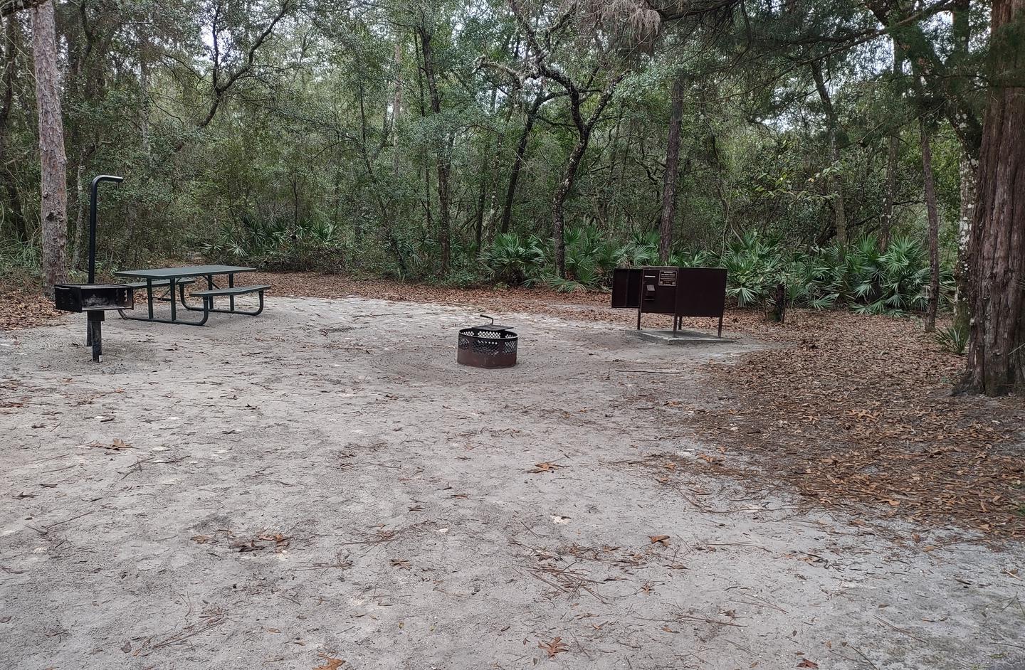 View of site 7Amenities: fire ring, picnic table, grill, light pole, bear-proof storage locker