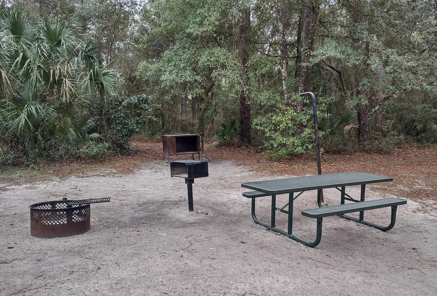 Another view of site 11Amenities: fire ring, picnic table, grill, light pole, bear-proof storage locker
