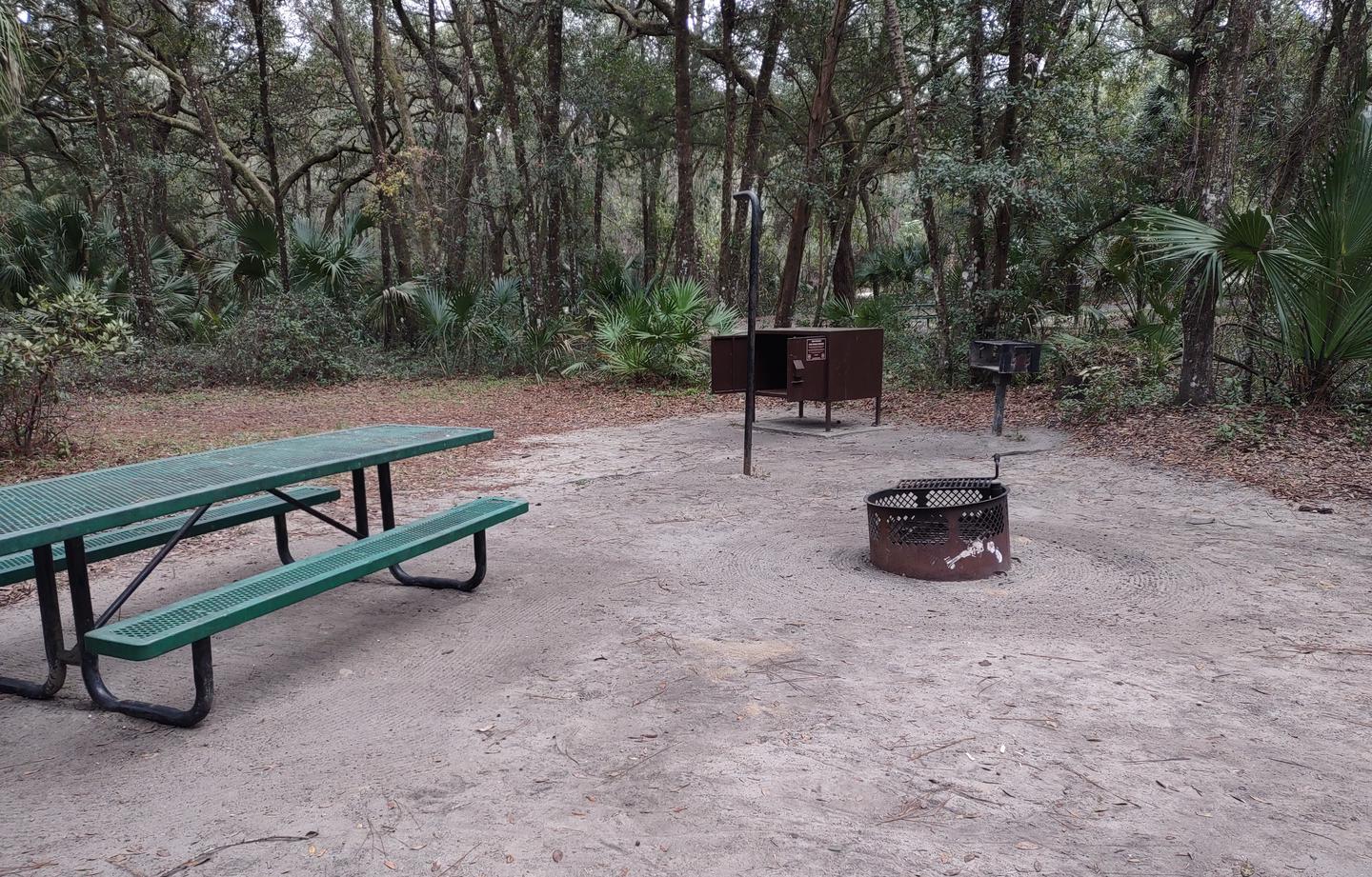 Another view of site 42Amenities: fire ring, picnic table, grill, light pole, bear-proof storage locker