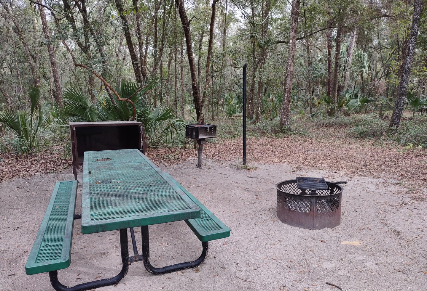 Another view of site 45Amenities: fire ring, picnic table, grill, light pole, bear-proof storage locker