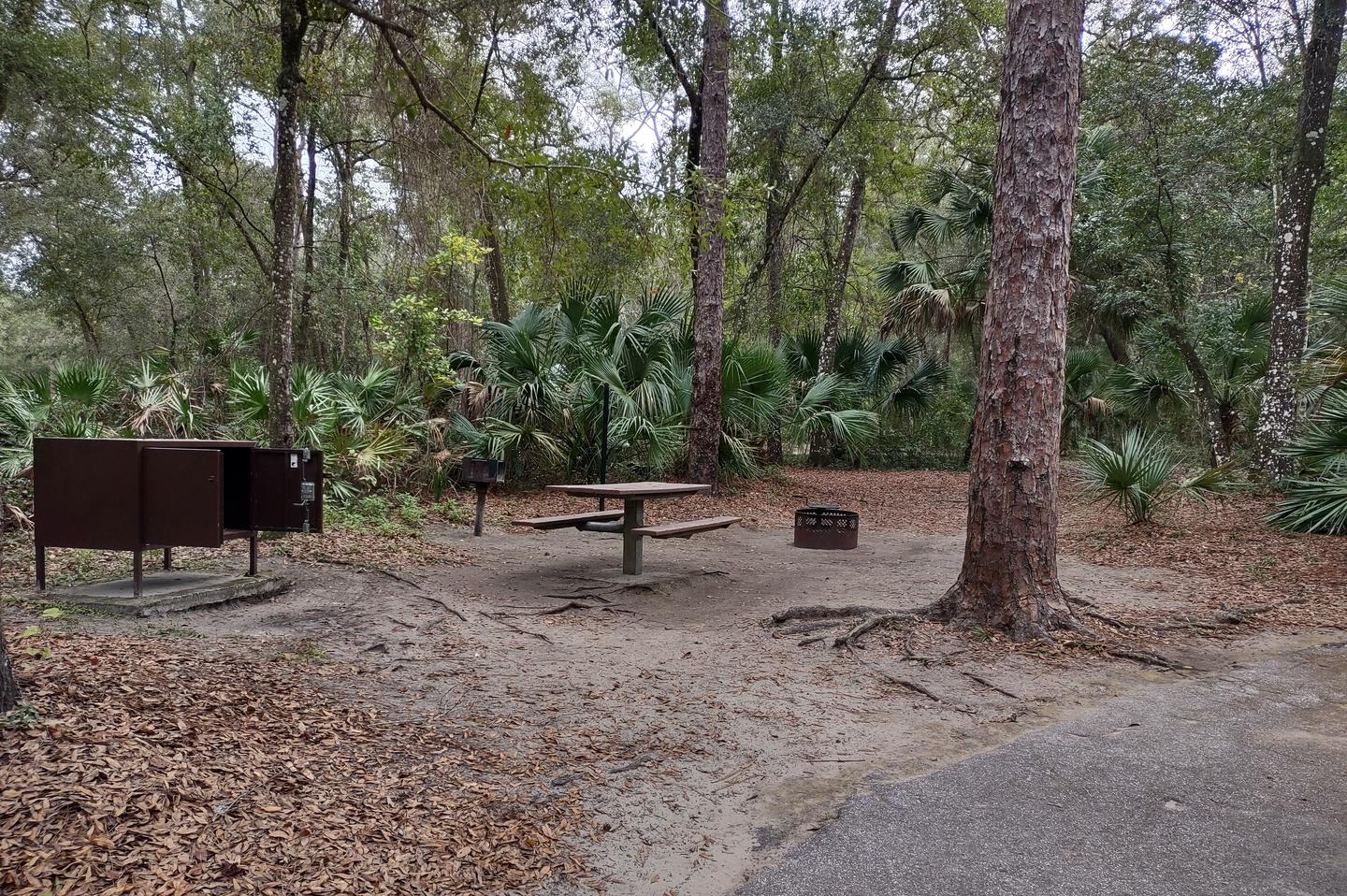 View of site 52Amenities: fire ring, picnic table, grill, light pole, bear-proof storage locker