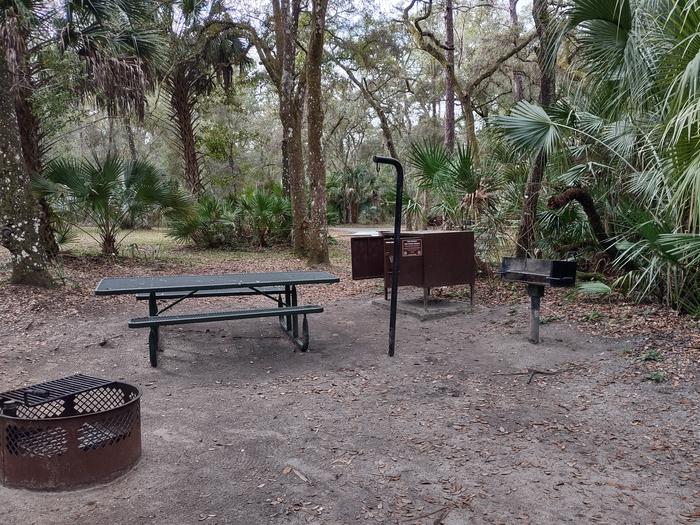 Another view of site 53Amenities: fire ring, picnic table, grill, light pole, bear-proof storage locker