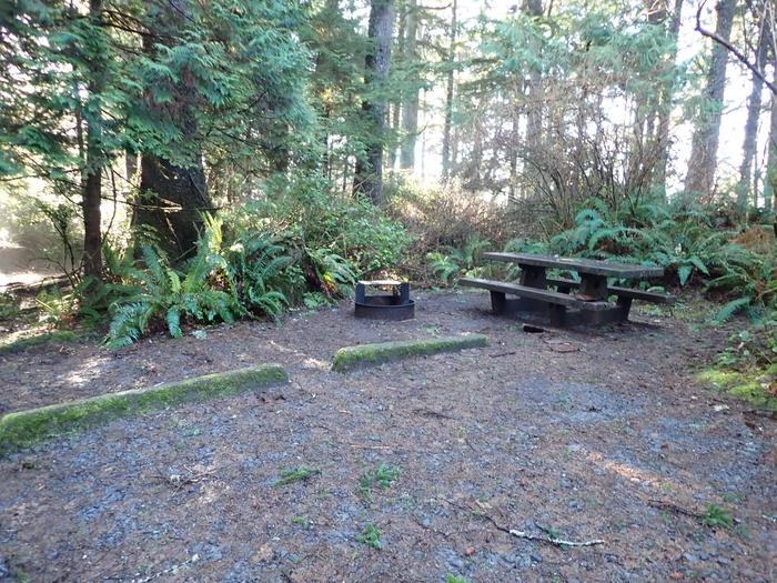 picnic table and rusty fire grate surrounded by treesCampsite A43- table and fire ring