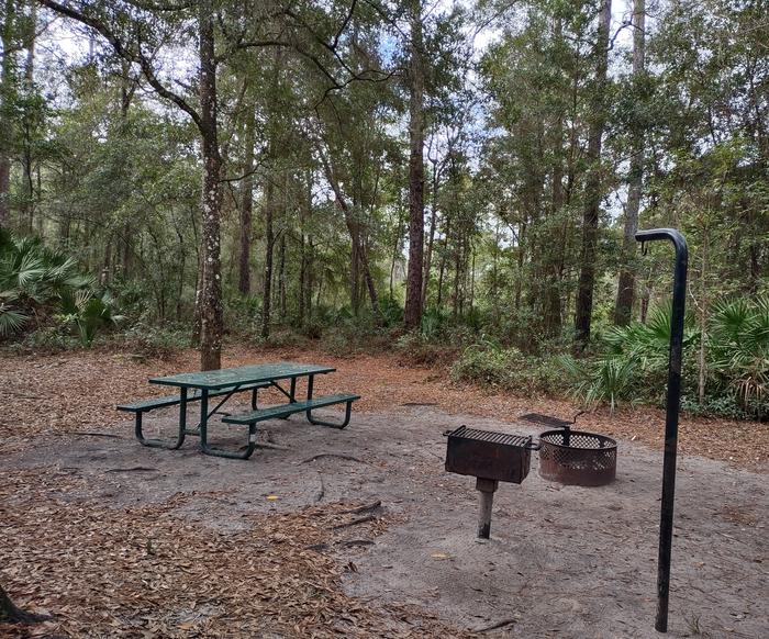 Another view of site 56Amenities: fire ring, picnic table, light pole, grill, bear-proof storage locker