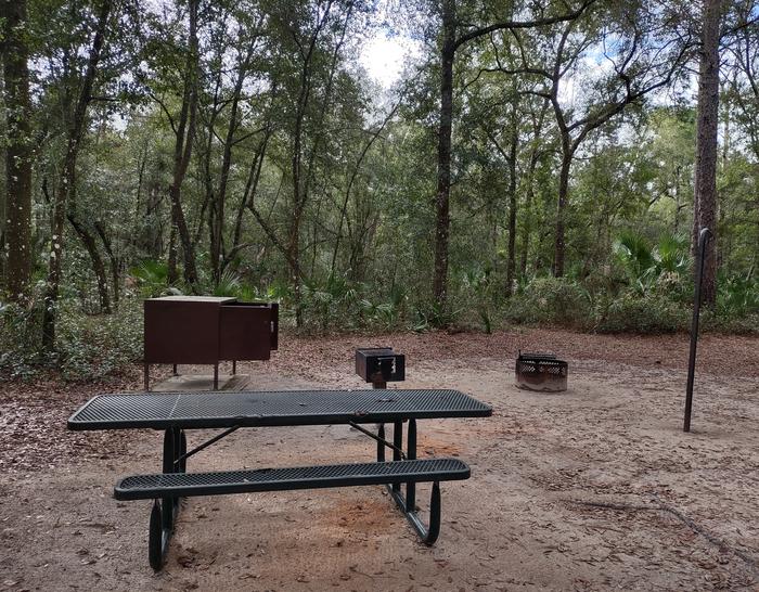 Another view of site 58Amenities: fire ring, picnic table, light pole, grill, bear-proof storage locker