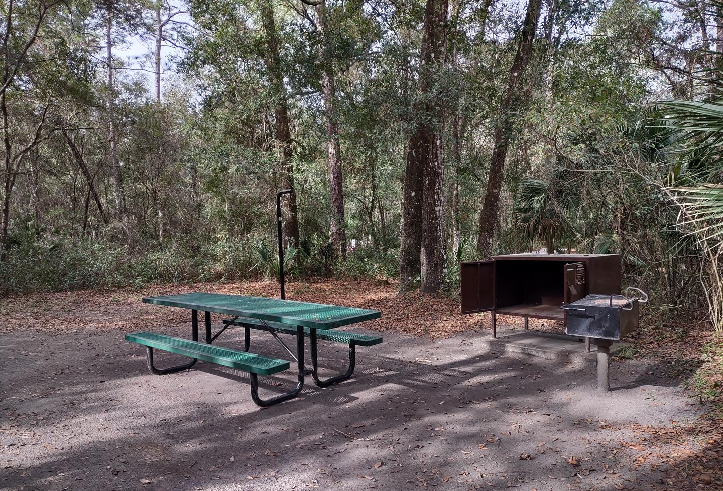 View of site 61Amenities: fire ring, picnic table, light pole, grill, bear-proof storage locker