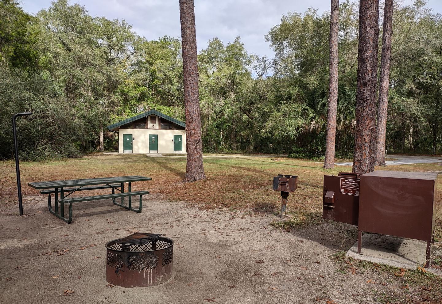 Another view of site 62Amenities: fire ring, picnic table, light pole, grill, bear-proof storage locker; near bathhouse 