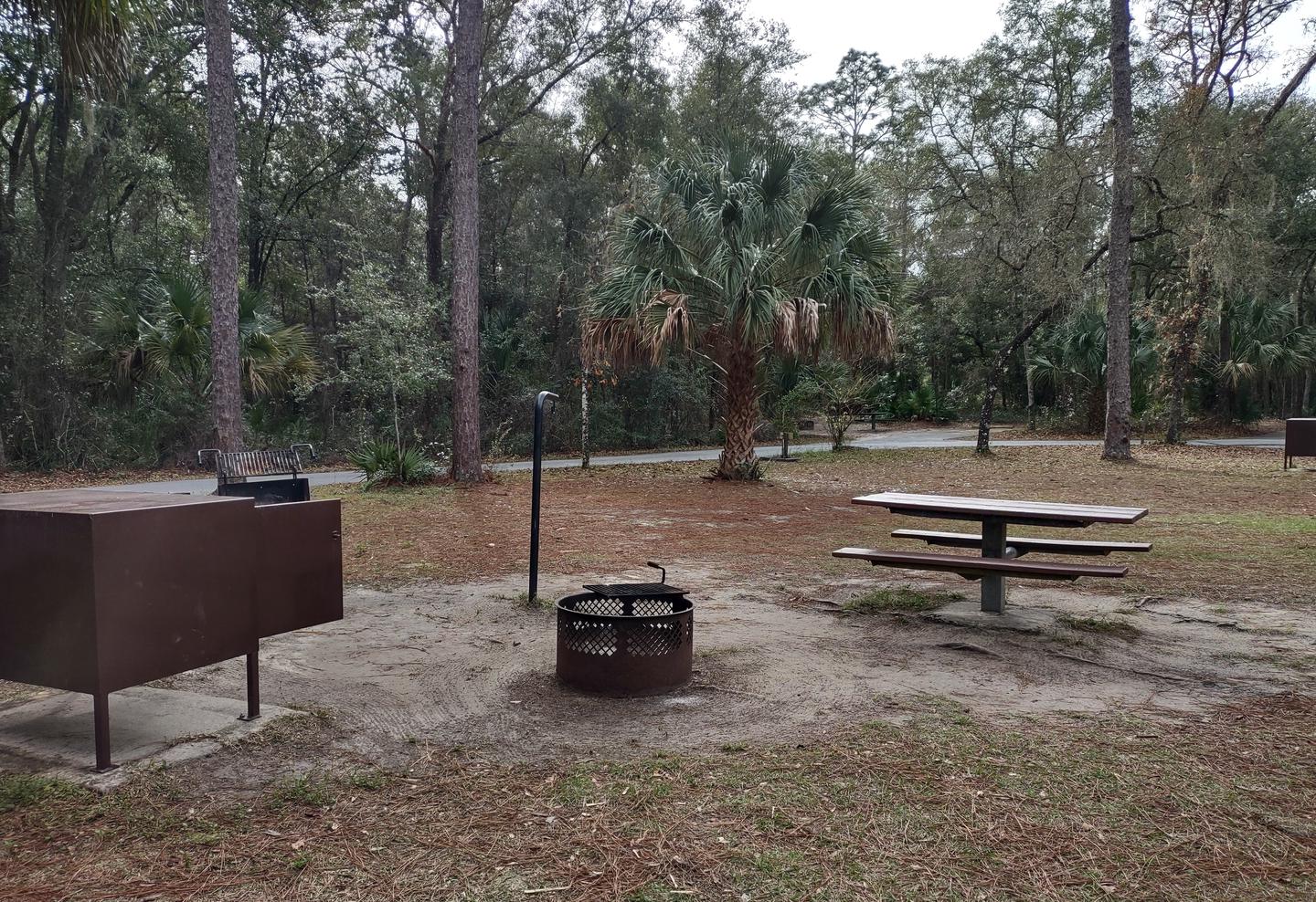 Another view of site 65Amenities: fire ring, picnic table, light pole, grill, bear-proof storage locker
