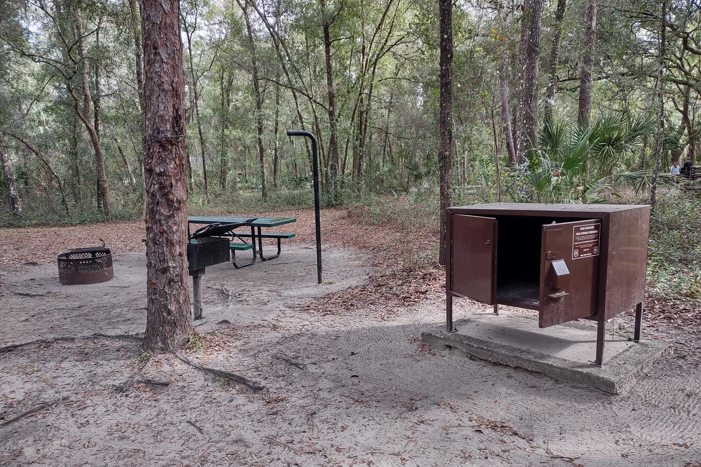 Another view of site 67Amenities: fire ring, picnic table, light pole, grill, bear-proof storage locker