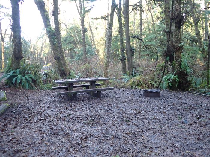 picnic table next to fire ring in front of treesCampsite C5 - picnic table and fire ring