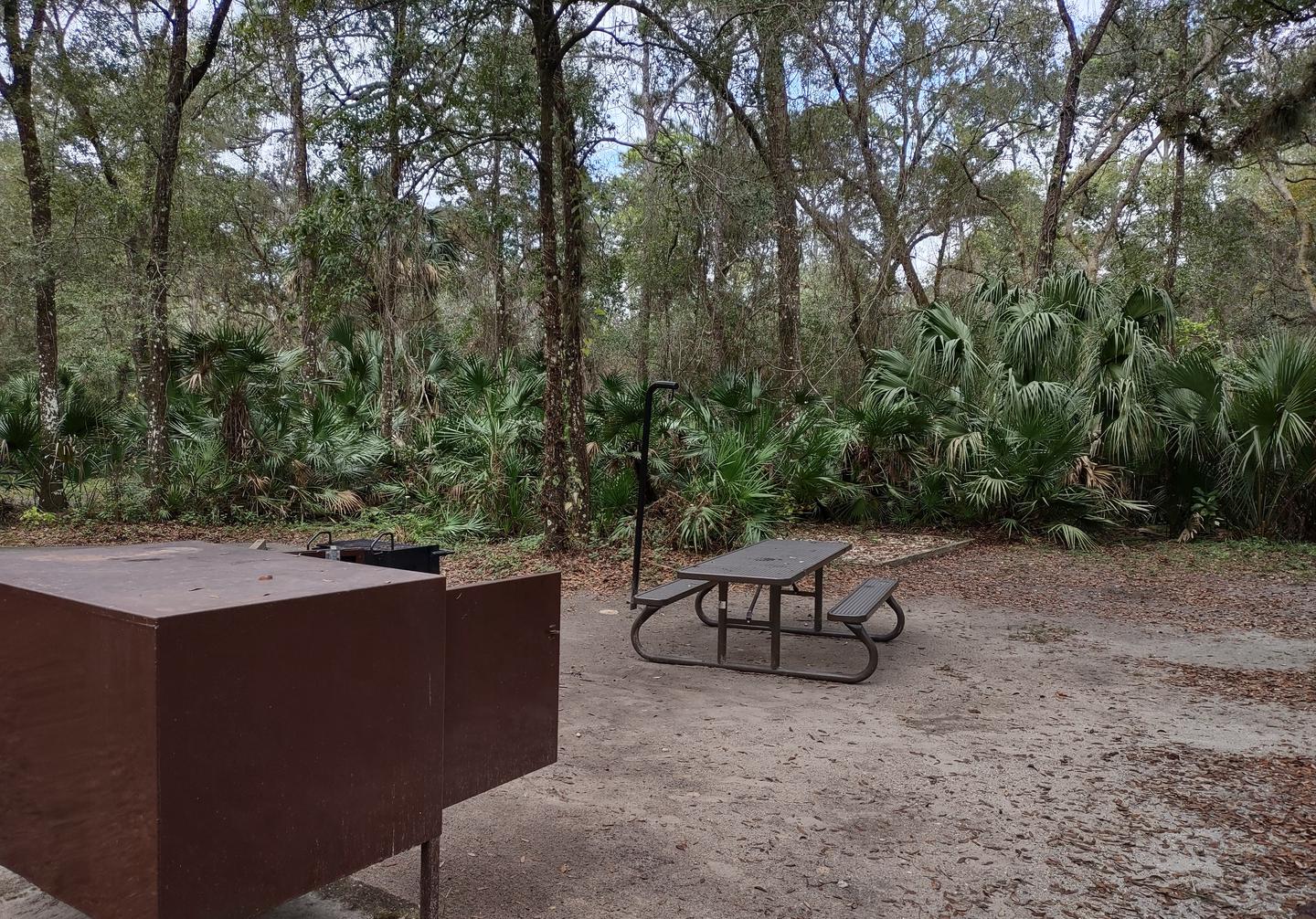 View of site 28Amenities: picnic table, light pole, fire ring, grill, bear-proof storage locker