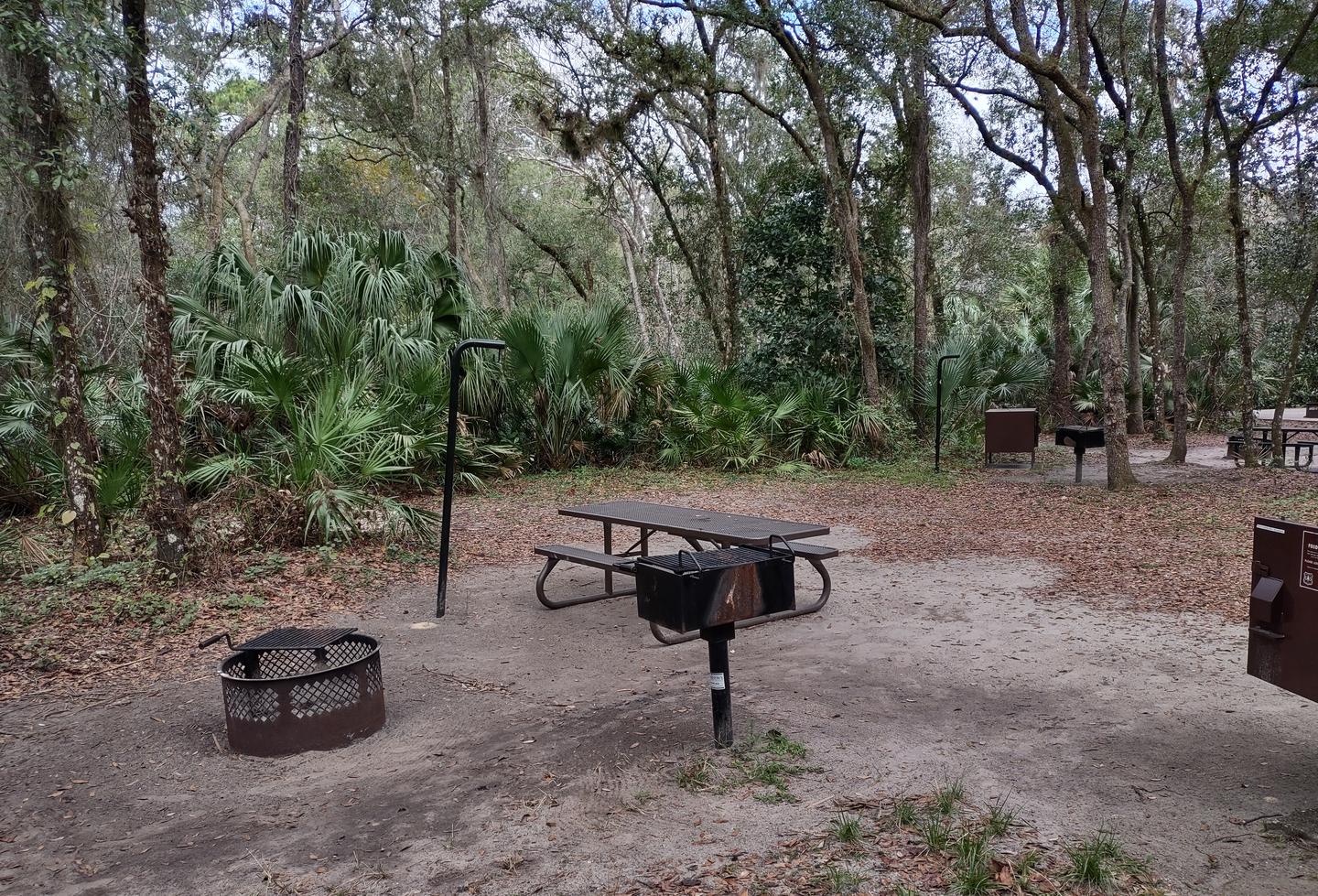 Another view of site 28Amenities: picnic table, light pole, fire ring, grill, bear-proof storage locker