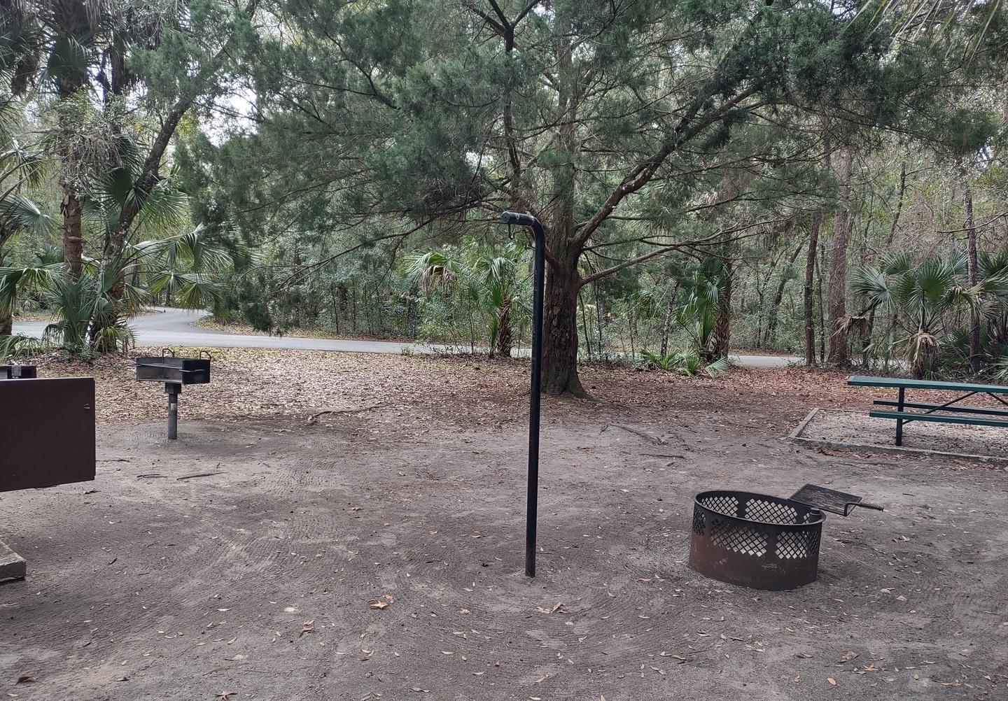 Another view of site 31Amenities: picnic table, light pole, fire ring, grill, bear-proof storage locker