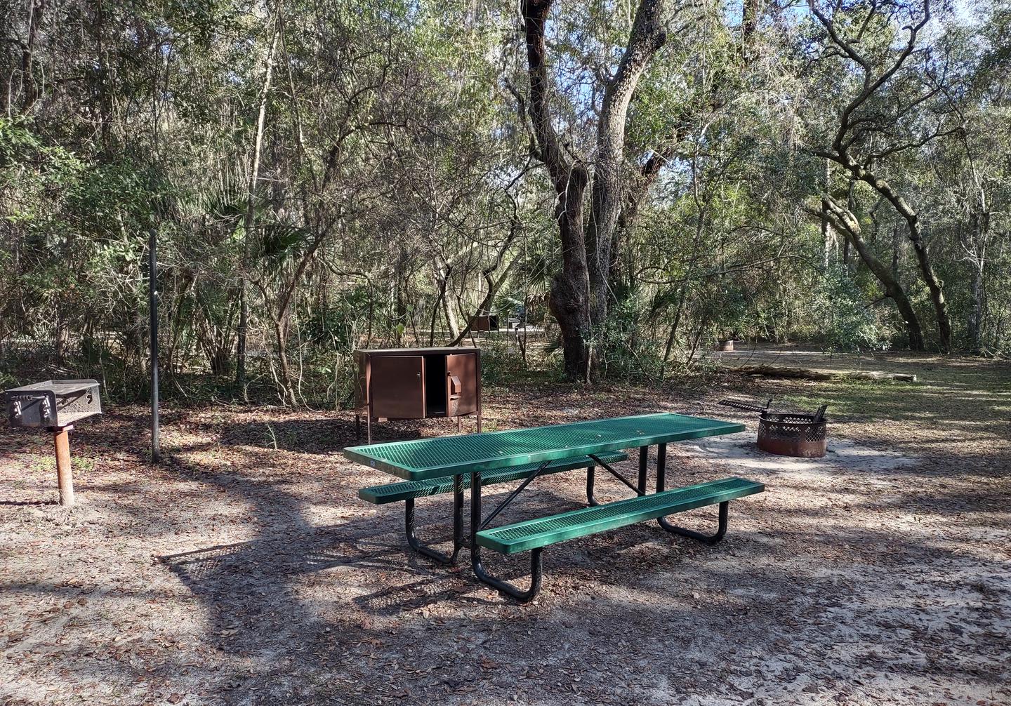 Another view of site 8Amenities: picnic table, grill, fire ring, light pole, bear-proof storage locker