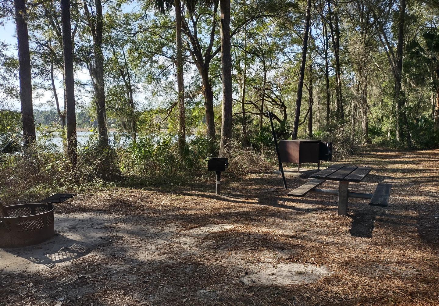 Another view of site 15Amenities: picnic table, grill, fire ring, light pole, bear-proof storage locker