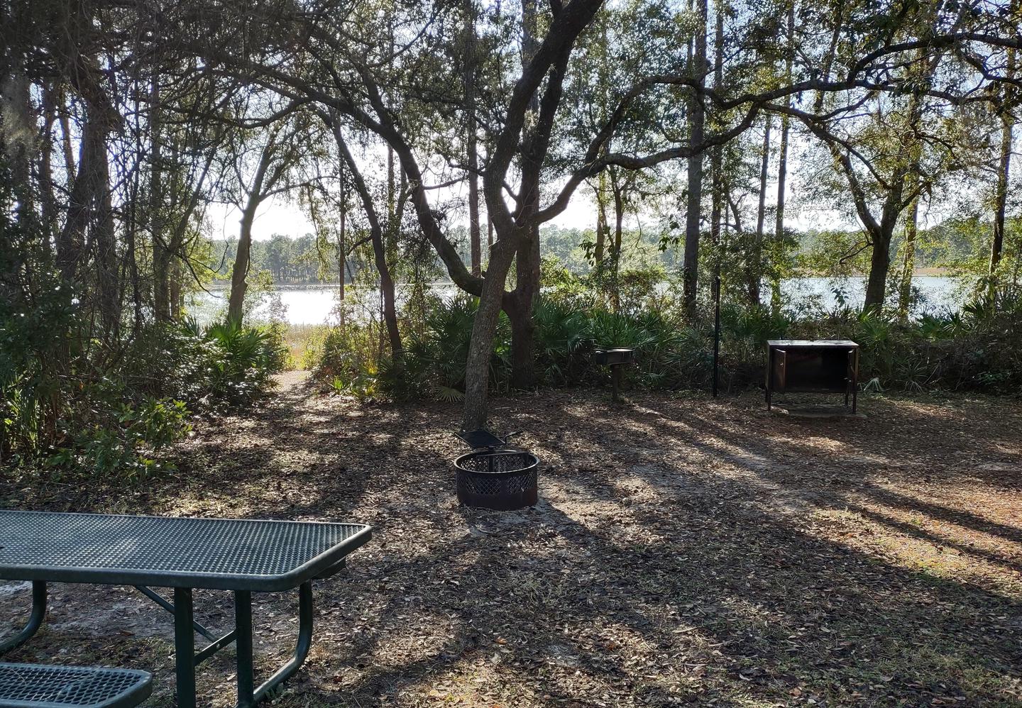 Another view of site 16Amenities: picnic table, grill, fire ring, light pole, bear-proof storage locker; waterfront
