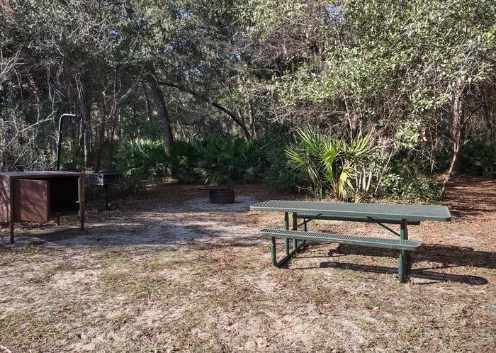 Another view of site 17Amenities: picnic table, grill, fire ring, light pole, bear-proof storage locker