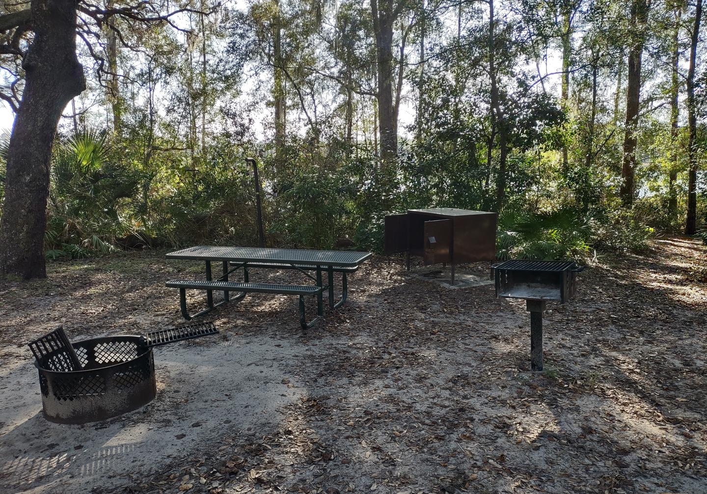 Another view of site 18Amenities: picnic table, grill, fire ring, light pole, bear-proof storage locker