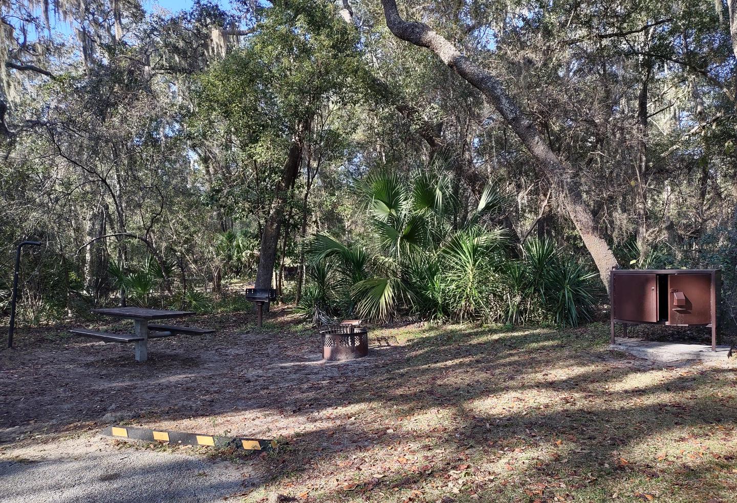 View of site 21Amenities: picnic table, grill, fire ring, light pole, bear-proof storage locker