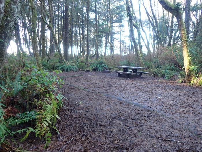 campsite with parking area covered in leavesC8- parking area and picnic table